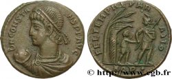 CONSTANS Maiorina
