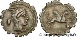 PAPIA Denier serratus SUP