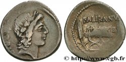 LOLLIA Denier