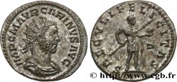 CARIN Aurelianus SPL