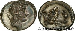 CASSIA Denier MS