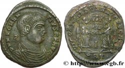 MAGNENCE Maiorina TTB