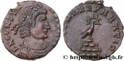 CONSTANS Demi-maiorina