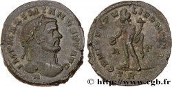 MAXIMIEN HERCULE Follis ou nummus