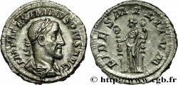 MAXIMINUS I Denier