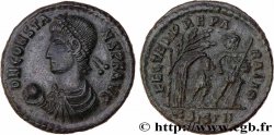 CONSTANS Maiorina