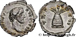 ANTONINUS PIUS Denier fST