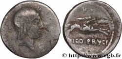CALPURNIA Denier TB/TB+