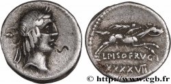 CALPURNIA Denier