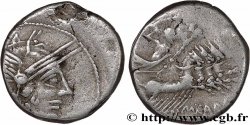 PAPIRIA Denier
