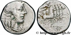 FANNIA Denier