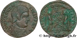 MAGNENTIUS Maiorina