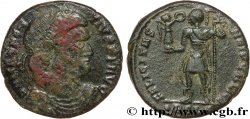 MAGNENTIUS Maiorina