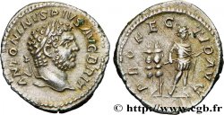 CARACALLA Denier