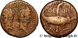 AUGUSTE et AGRIPPA Dupondius COL NEM (as) TB+