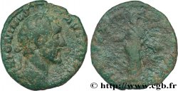 ANTONINUS PIUS As