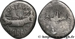 MARCUS ANTONIUS Denier SS/fSS