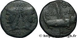 AUGUSTE et AGRIPPA Dupondius XF