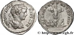 CARACALLA Denier