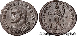 MAXIMIEN HERCULE Follis ou nummus