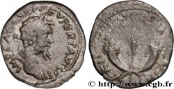 SEPTIMIUS SEVERUS Denier XF/VF