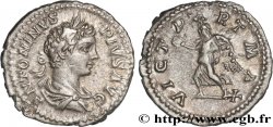 CARACALLA Denier
