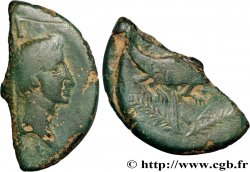 NEMAUSUS - NÎMES Dupondius COL NEM (as), coupé en deux