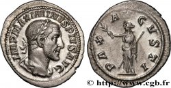 MAXIMINUS I Denier