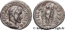 MAXIMINUS I Denier