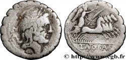 ANTONIA Denier serratus
