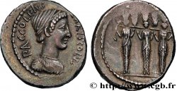 ACCOLEIA Denier SUP