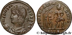 CONSTANS Maiorina