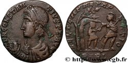 CONSTANS Maiorina