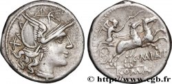 MAIANIA Denier