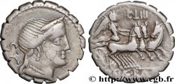 NAEVIA Denier serratus