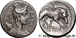 HOSIDIA Denier