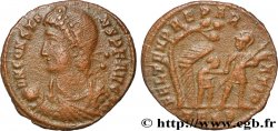 CONSTANS Maiorina