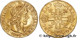 LOUIS XIII Demi-louis d or aux huit L (effigie de Jean Warin) 1643 Paris