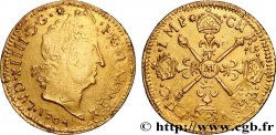 LOUIS XIV THE SUN KING Louis d or aux insignes, fausse réformation 1704 Toulouse