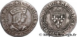 LOUIS XII, FATHER OF THE PEOPLE Teston s.m. Paris
