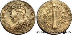 LOUIS XVI (MONARQUE CONSTITUTIONNEL) 2 sols dit au faisceau , type FRANÇOIS 1791 Paris