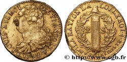 LOUIS XVI (MONARQUE CONSTITUTIONNEL) 2 sols dit au faisceau , type FRANCOIS 1792 Lille