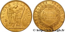 LA CONVENTION Essai pour le type conventionnel, module de 31 mm 1793 Paris