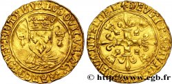 LOUIS XII Écu d or aux porcs-épics de Bretagne, 2e type 19/11/1507 Nantes