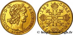LOUIS XIII LE JUSTE Louis d or aux huit L (effigie de Jean Warin) 1640 Paris, Monnaie du Louvre