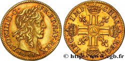 LOUIS XIII  Demi-louis d or aux huit L (effigie de Jean Warin) 1641 Paris AU