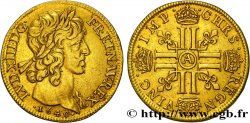 LOUIS XIII LE JUSTE Double louis d or aux huit L (effigie de Jean Warin) 1640 Paris, Monnaie du Louvre
