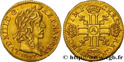 LOUIS XIII  Demi-louis d or aux huit L (effigie de Jean Warin) 1642 Paris, Monnaie du Louvre AU