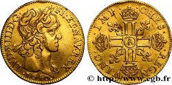 LOUIS XIII LE JUSTE Louis d or aux huit L (effigie de Jean Warin) 1640 Paris, Monnaie du Louvre