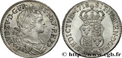 LOUIS XV DIT LE BIEN AIMÉ Écu dit de France-Navarre 1718 Paris